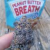 Peanut Butter Breath Strain