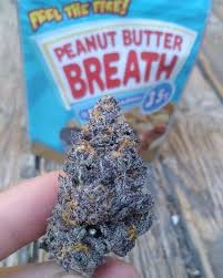 Peanut Butter Breath Strain